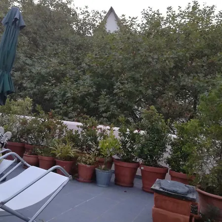 Cozy Independent ホームステイ